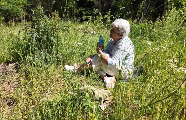 Wil in de natuur van Mepperdennen