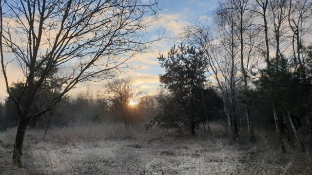 Natuurlijke ontwikkelingen